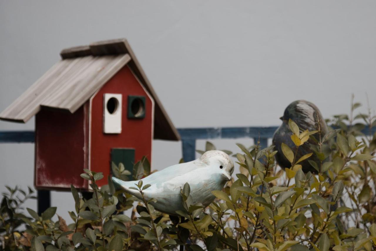 Ister Guesthouse Esztergom Eksteriør bilde